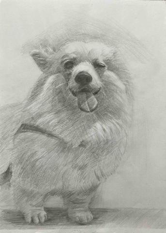 Jasmine老師 -  鉛筆素描