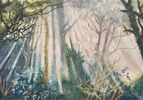 Uart藝術工作室 - 柚子老師插畫-觀霧森林2號-水彩色鉛筆 Uart藝術工作室 - 柚子老師插畫-觀霧森林2號-水彩色鉛筆
