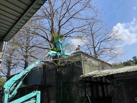 久柘裝修工程 - 清洗屋頂