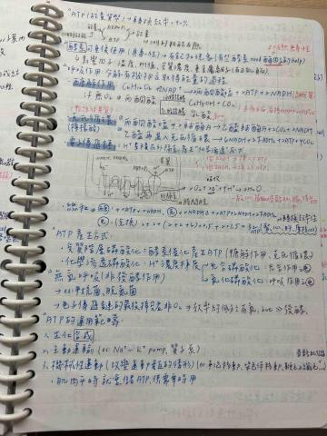 張汧窈 - 分科生物重點整理