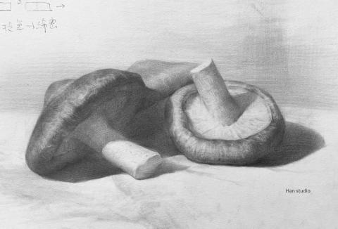 Han studio  邱柏翰 - 考牙醫學生課堂示範，帶著學生了解上色程序及如何表現體感