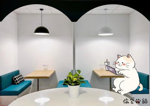 Procrustes 數位行銷顧問（賴彤兒） - 公司環境