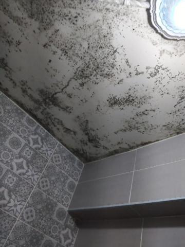 星立商鋪 - 20240314 南港八德路除霉 施工前-1