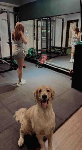 YuuSii.L _Debbie - 台中學生與店狗穆穆