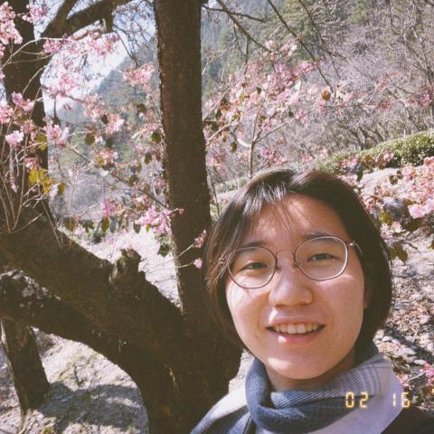 提供美術課服務的專家林庭慧