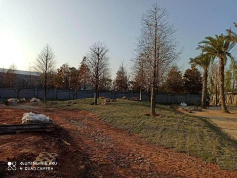 玩創藝樹 - 案例分享台灣大車隊董事長自宅庭園造景