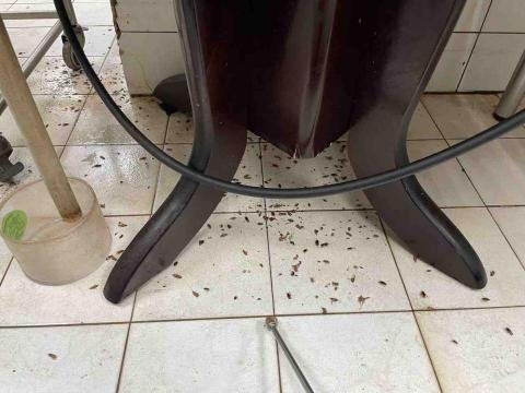 湯姆環衛有限公司 - 對症下藥