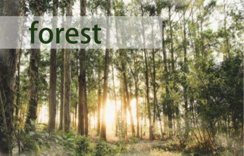 設計人『阿兔』🐰 - 