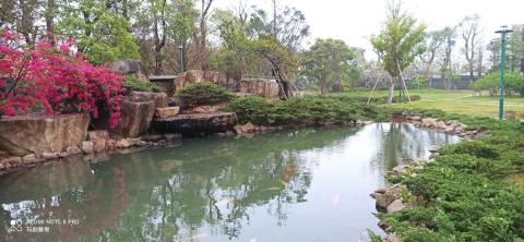 玩創藝樹 - 案例分享 台灣大車隊董事長自宅 庭園造景