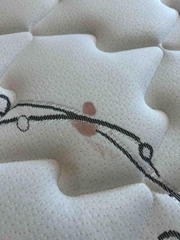 淨哲居家 沙發 床墊 - 