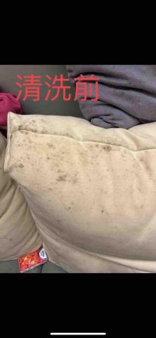 淨哲居家 沙發 床墊 - 