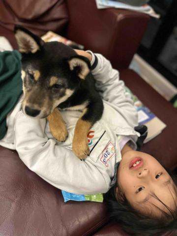 王小姐寵物陪伴house - 小可愛撒嬌照