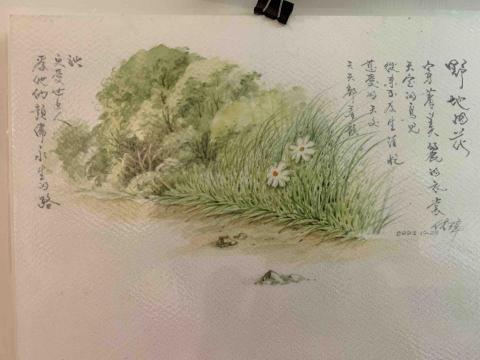 林傳璋 - 插畫與硬筆字