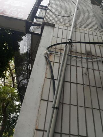 嘉澤滅鼠封堵防治工程 -  嘉澤滅鼠封堵防治工程 -