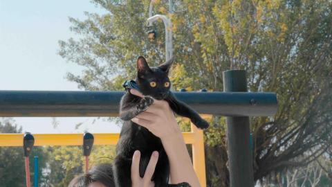 07師傅 - 寵物攝影