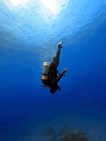 杰倫游泳教室 - 