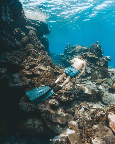 杰倫游泳教室 - 自潛