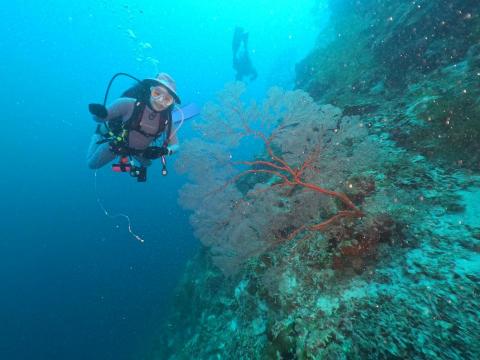 菲要萊潛潛水工作室 - 