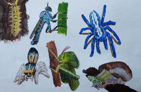 周尚緯 - 寫實水彩