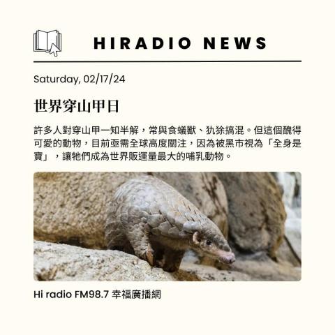 Queenie-文字工作室 - 社群圖文-1