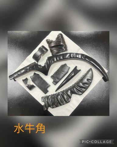 陳國彬 - 刮筋工具