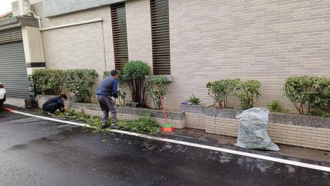 柏君園藝 -  柏君園藝 -