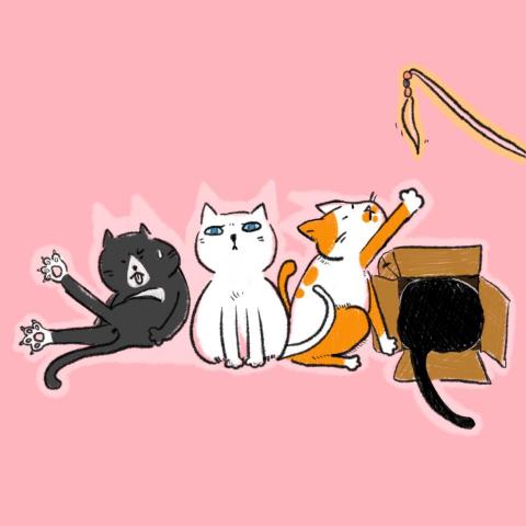 王奕惀 - 插畫-貓