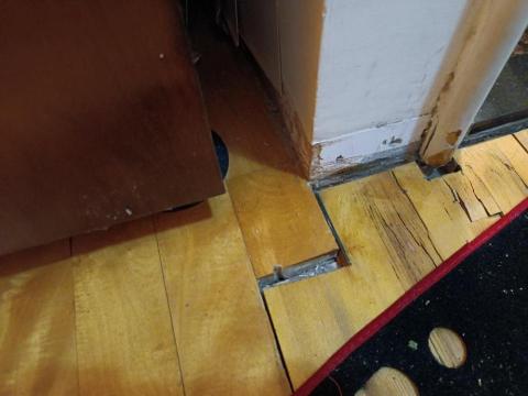 大佶環衛 - 白蟻目地板破壞