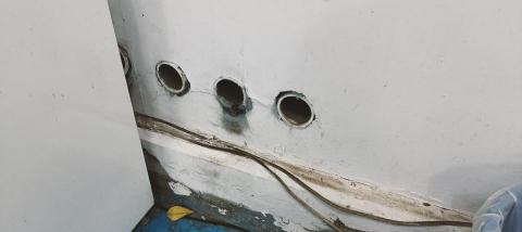 大佶環衛 - 日亞電機鼠害防治