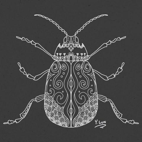 王奕惀 - 曼陀羅與蟲的結合
（黑白）
