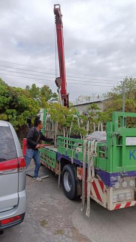 柏君園藝 -  柏君園藝 -