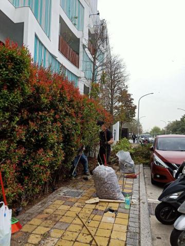 柏君園藝 -  柏君園藝 -