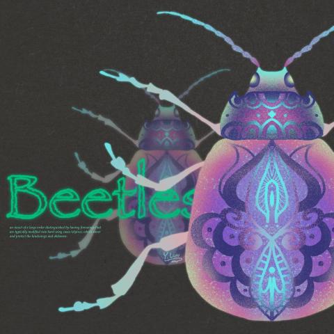 王奕惀 - 曼陀羅與蟲的結合
（彩色）