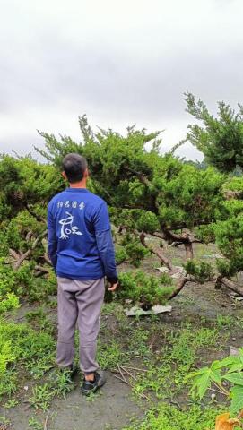 柏君園藝 -  柏君園藝 -