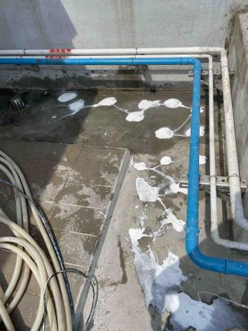 夢想家修繕工程-花蓮磁磚隆起空心修繕 -  夢想家修繕工程-花蓮磁磚隆起空心修繕 -