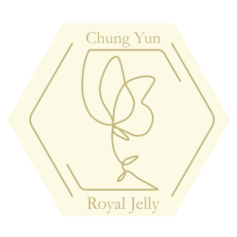 VL.Studio - Logo設計 VL.Studio - Logo設計