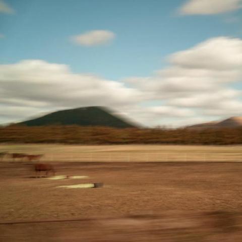 COPXA - 在濟州島的畫卷上，融雪與馬匹間的和諧與雲朵的流動交織出一場自然與存在的對話，映射了生命流轉的哲學。