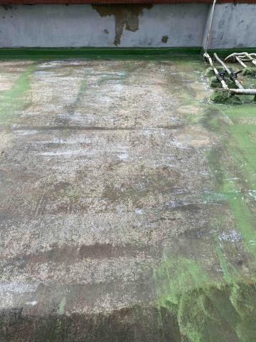 虹力工程 -  虹力工程 -