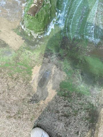 虹力工程 -  虹力工程 -