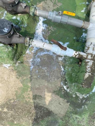 虹力工程 -  虹力工程 -