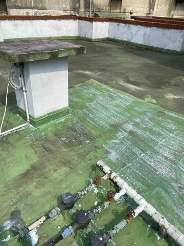 虹力工程 -  虹力工程 -