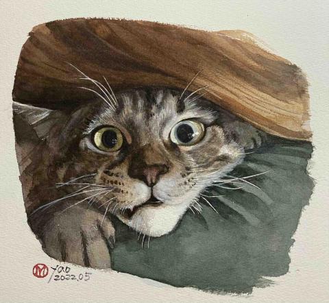 寵物插畫保姆 - 