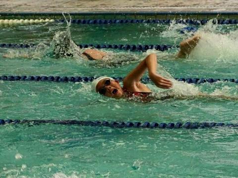 法藍克 楊 - 台北市小學運動會。
新北市中小學運動會。