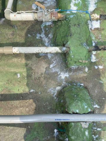 虹力工程 -  虹力工程 -