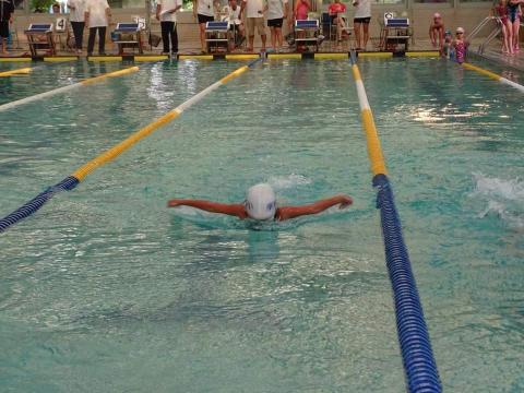 法藍克 楊 - 蝶式。