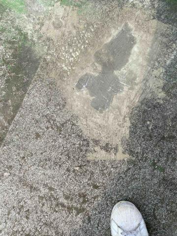 虹力工程 -  虹力工程 -