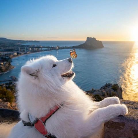 提供煮飯電鍋服務的專家Minicheng