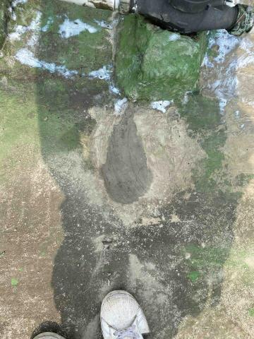 虹力工程 -  虹力工程 -