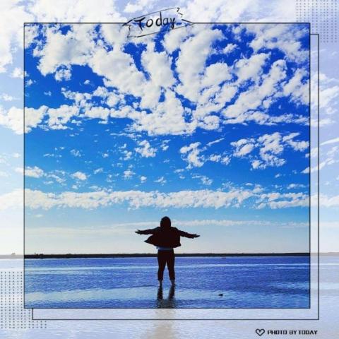 提供wixsite服務的專家關關