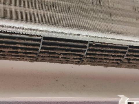 守庭居家清潔 -  守庭居家清潔 -